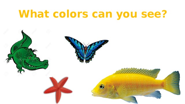What colors can you see?