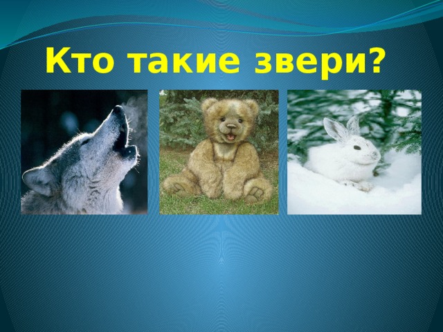 Кто такие звери?