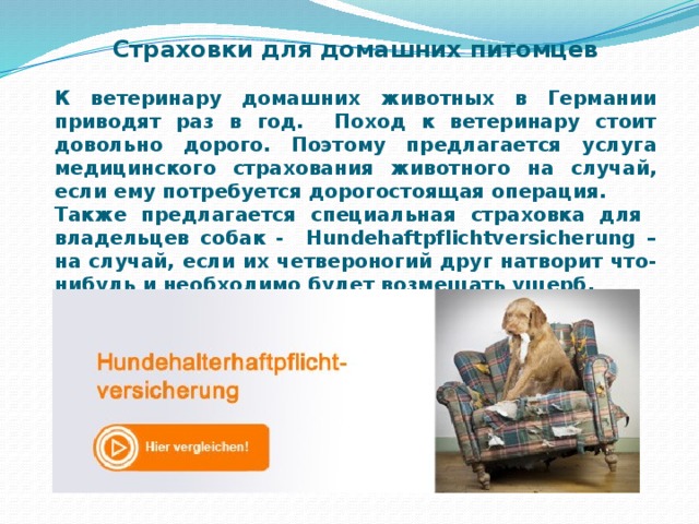 Страховки для домашних питомцев  К ветеринару домашних животных в Германии приводят раз в год. Поход к ветеринару стоит довольно дорого. Поэтому предлагается услуга медицинского страхования животного на случай, если ему потребуется дорогостоящая операция. Также предлагается специальная страховка для владельцев собак - Hundehaftpflichtversicherung – на случай, если их четвероногий друг натворит что-нибудь и необходимо будет возмещать ущерб.