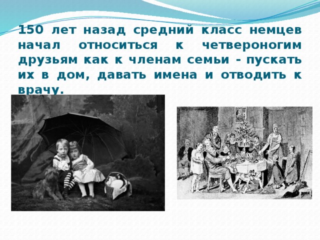 150 лет назад средний класс немцев начал относиться к четвероногим друзьям как к членам семьи - пускать их в дом, давать имена и отводить к врачу.