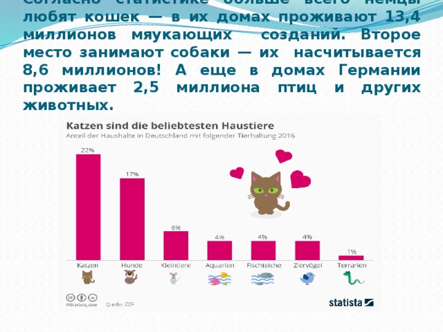 Согласно статистике больше всего немцы любят кошек — в их домах проживают 13,4 миллионов мяукающих созданий. Второе место занимают собаки — их насчитывается 8,6 миллионов! А еще в домах Германии проживает 2,5 миллиона птиц и других животных.