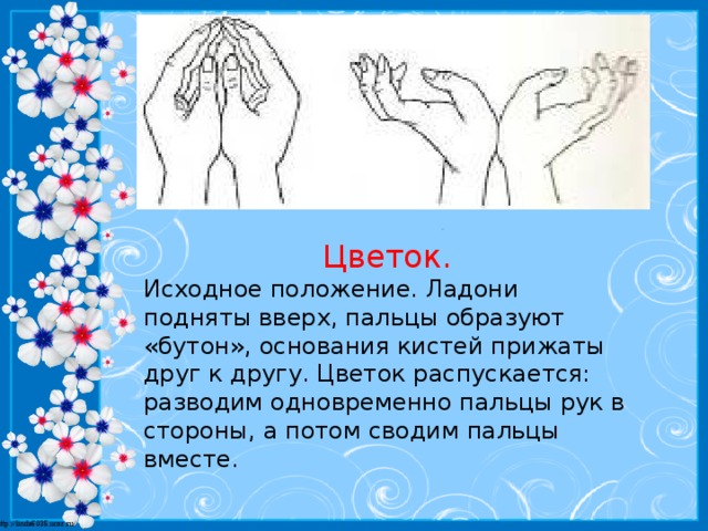 Цветок. Исходное положение. Ладони подняты вверх, пальцы образуют «бутон», основания кистей прижаты друг к другу. Цветок распускается: разводим одновременно пальцы рук в стороны, а потом сводим пальцы вместе.