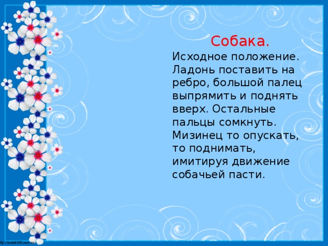 Собака. Исходное положение. Ладонь поставить на ребро, большой палец выпрямить и поднять вверх. Остальные пальцы сомкнуть. Мизинец то опускать, то поднимать, имитируя движение собачьей пасти.