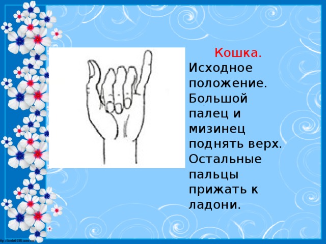 Кошка. Исходное положение. Большой палец и мизинец поднять верх. Остальные пальцы прижать к ладони.