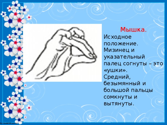 Мышка. Исходное положение. Мизинец и указательный палец согнуты – это «ушки». Средний, безымянный и большой пальцы сомкнуты и вытянуты.