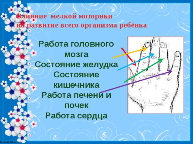 Влияние мелкой моторики  на развитие всего организма ребёнка   Работа головного мозга Состояние желудка Состояние кишечника Работа печени и почек Работа сердца