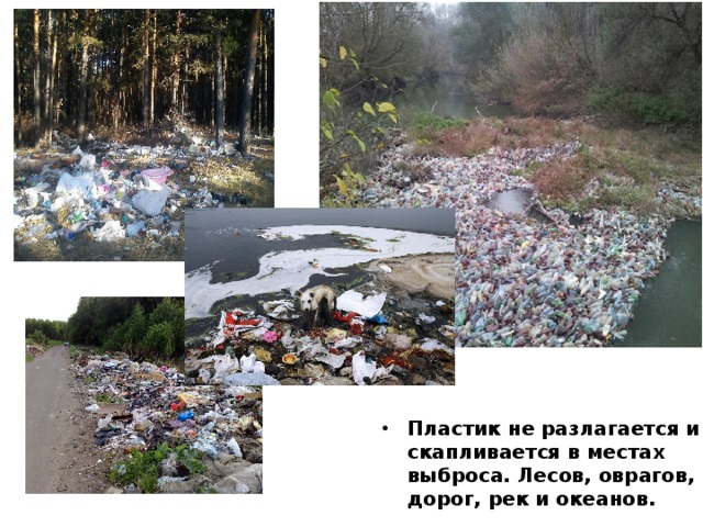 Пластик не разлагается и скапливается в местах выброса. Лесов, оврагов, дорог, рек и океанов.