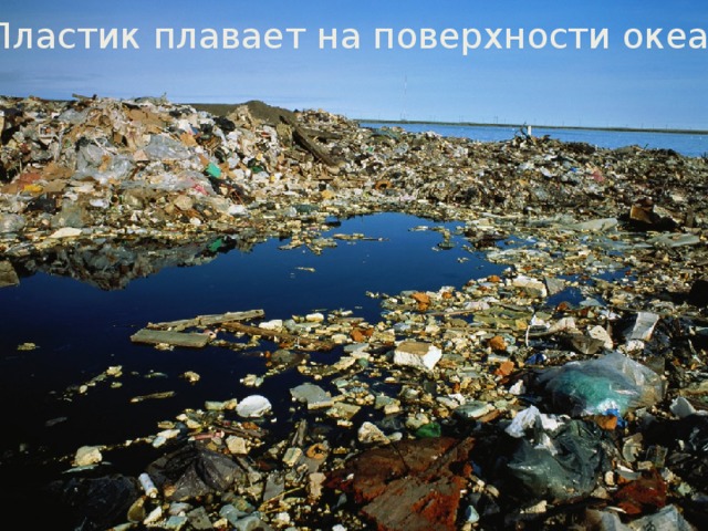 Пластик плавает на поверхности океана