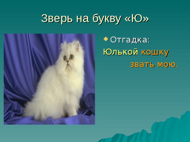 Зверь на букву «Ю» Отгадка: Юлькой кошку  звать мою.