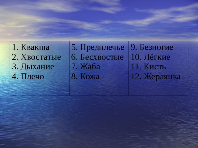 1. Квакша 2. Хвостатые 3. Дыхание 4. Плечо 5. Предплечье 6. Бесхвостые 7. Жаба 8. Кожа 9. Безногие 10. Лёгкие 11. Кисть 12. Жерлянка