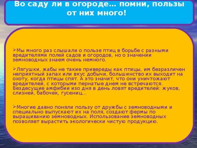 Во саду ли в огороде… помни, пользы от них много!