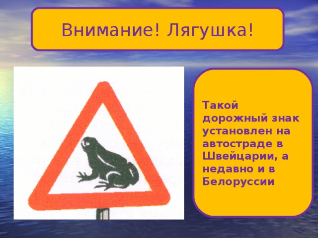 Внимание! Лягушка! Такой дорожный знак установлен на автостраде в Швейцарии, а недавно и в Белоруссии