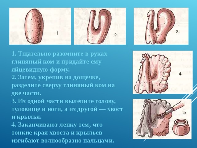 1. Тщательно разомните в руках глиняный ком и придайте ему яйцевидную форму. 2. Затем, укрепив на дощечке, разделите сверху глиняный ком на две части. 3. Из одной части вылепите голову, туловище и ноги, а из другой — хвост и крылья. 4. Заканчивают лепку тем, что тонкие края хвоста и крыльев изгибают волнообразно пальцами.