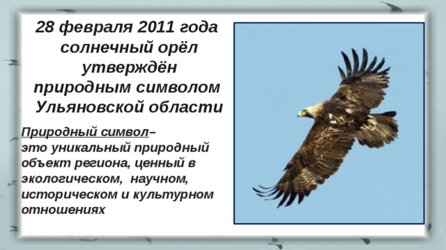 28 февраля 2011 года  солнечный орёл  утверждён  природным символом  Ульяновской области Природный символ –  это уникальный природный объект региона, ценный в экологическом, научном, историческом и культурном отношениях