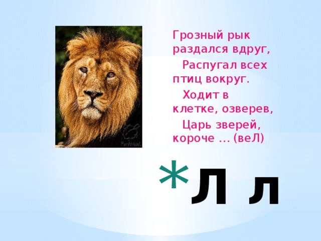 Грозный рык раздался вдруг,  Распугал всех птиц вокруг.  Ходит в клетке, озверев,  Царь зверей, короче … (веЛ)