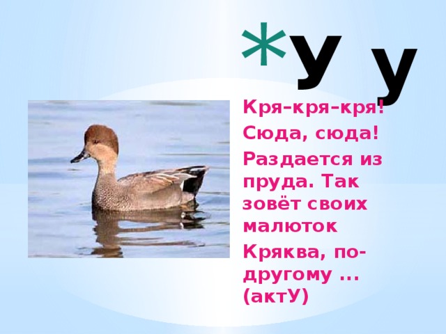 У у