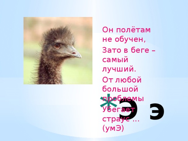 Он полётам не обучен,  Зато в беге – самый лучший.  От любой большой проблемы  Убегает страус ... (умЭ)