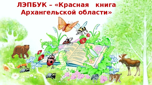 ЛЭПБУК – «Красная книга Архангельской области»