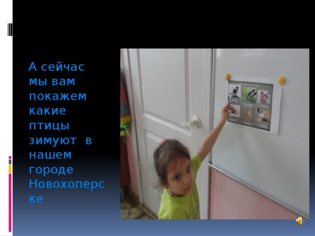 А сейчас мы вам покажем какие птицы зимуют в нашем городе Новохоперске