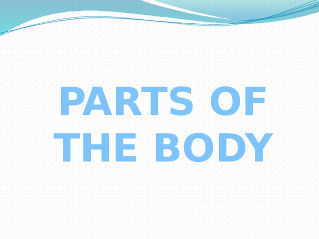PARTS OF THE BODY