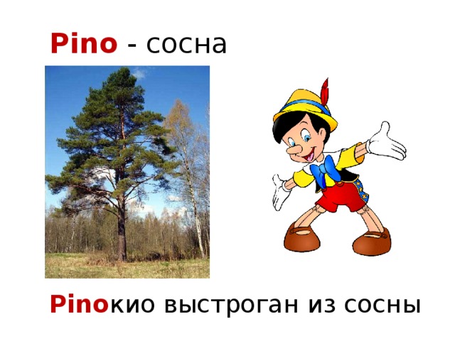 Pino - сосна Pino кио выстроган из сосны