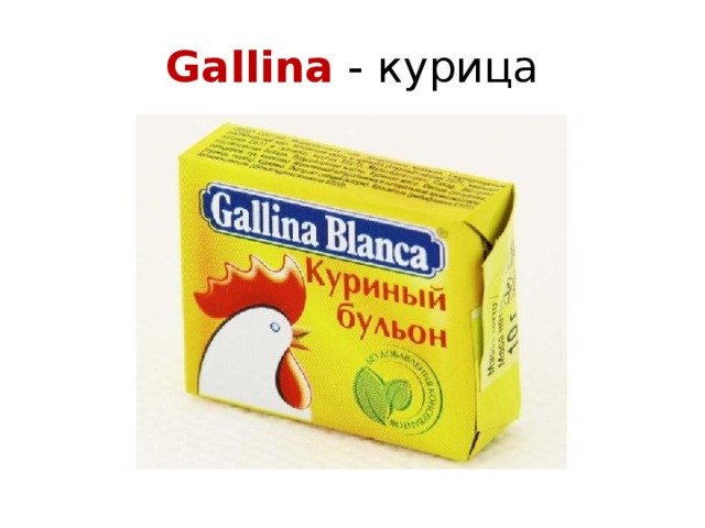 Gallina - курица