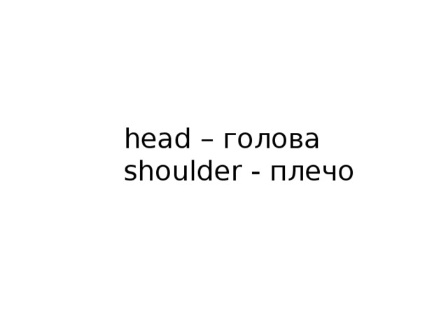 head – голова  shoulder - плечо