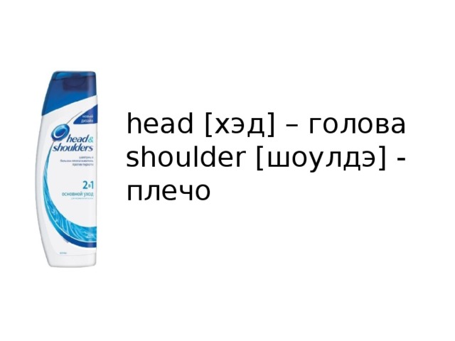 head [хэд] – голова  shoulder [шоулдэ] - плечо