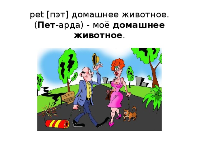 pet [пэт] домашнее животное.  ( Пет -арда) - моё домашнее животное .