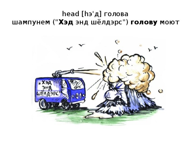 head [hэ'д] голова  шампунем (