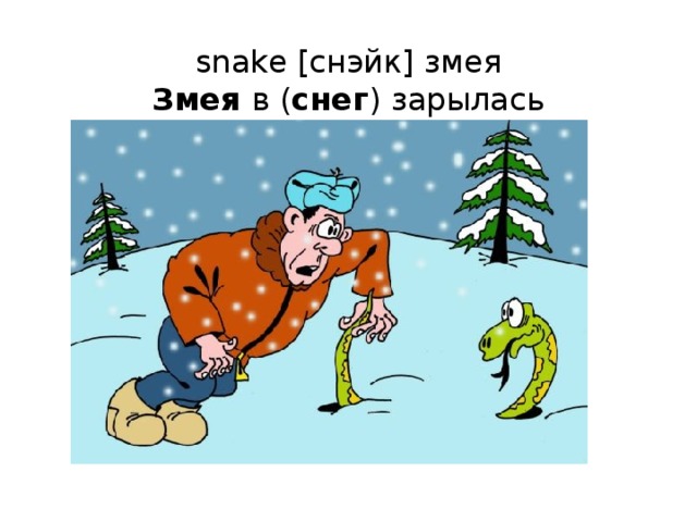 snake [снэйк] змея  Змея в ( снег ) зарылась