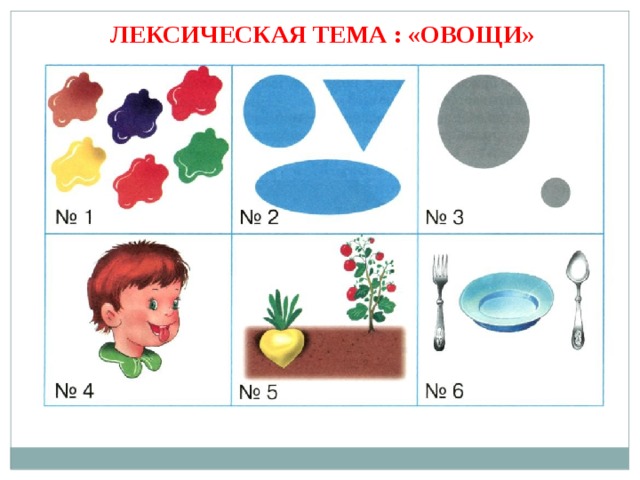 ЛЕКСИЧЕСКАЯ ТЕМА : «ОВОЩИ»