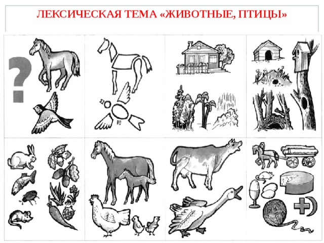 ЛЕКСИЧЕСКАЯ ТЕМА «ЖИВОТНЫЕ, ПТИЦЫ»