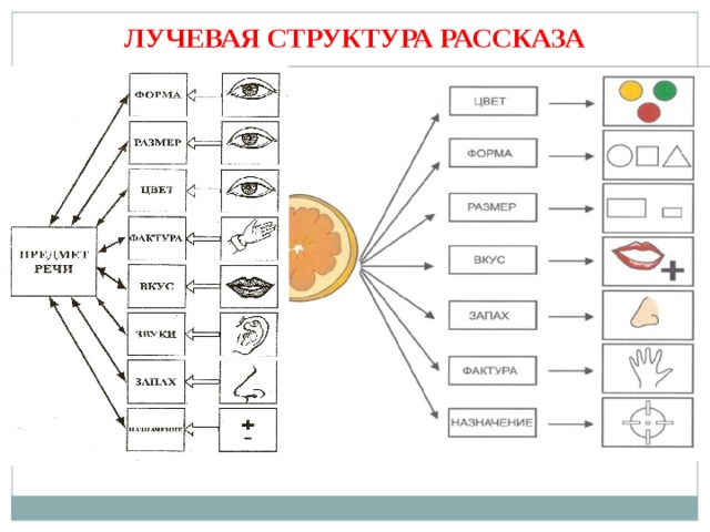 ЛУЧЕВАЯ СТРУКТУРА РАССКАЗА