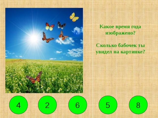 Какое время года изображено?   Сколько бабочек ты увидел на картинке? 2 5 8 6 4