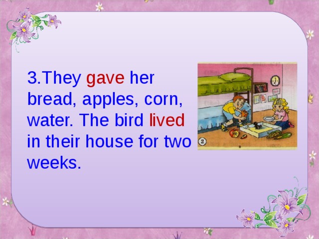 3. They gave her bread, apples, corn, water. The bird lived in their house for two weeks.