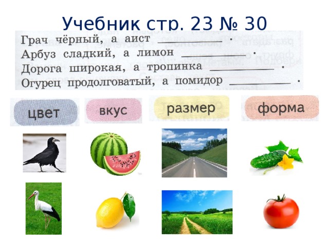 Учебник стр. 23 № 30