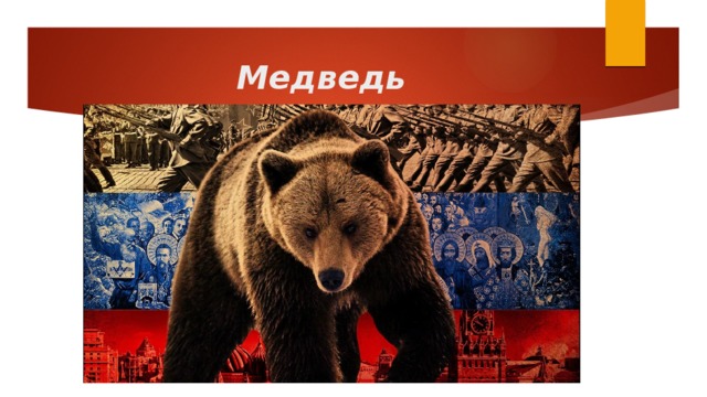 Медведь