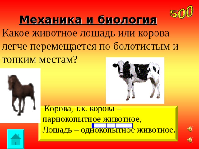 Механика и биология Какое животное лошадь или корова легче перемещается по болотистым и топким местам?  Корова, т.к. корова – парнокопытное животное, Лошадь – однокопытное животное.
