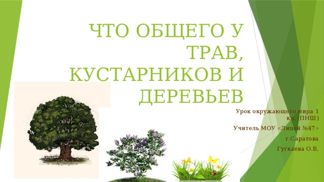 ЧТО ОБЩЕГО У ТРАВ, КУСТАРНИКОВ И ДЕРЕВЬЕВ Урок окружающего мира 1 кл. (ПНШ) Учитель МОУ «Лицей №47» г.Саратова Гугкаева О.В.