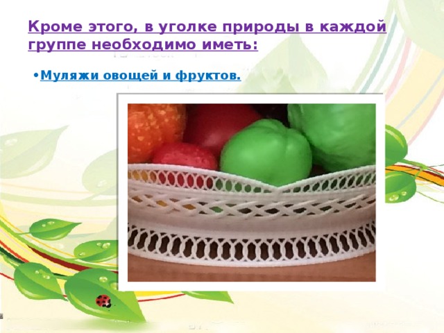 Кроме этого, в уголке природы в каждой группе необходимо иметь:   • Муляжи овощей и фруктов.       