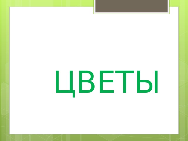 ЦВЕТЫ