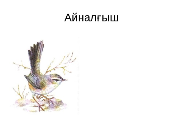 Айналғыш