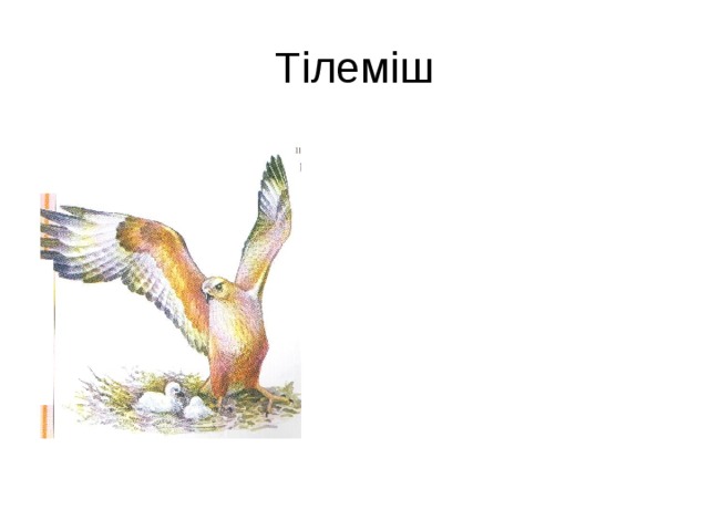 Тілеміш