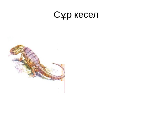 Сұр кесел