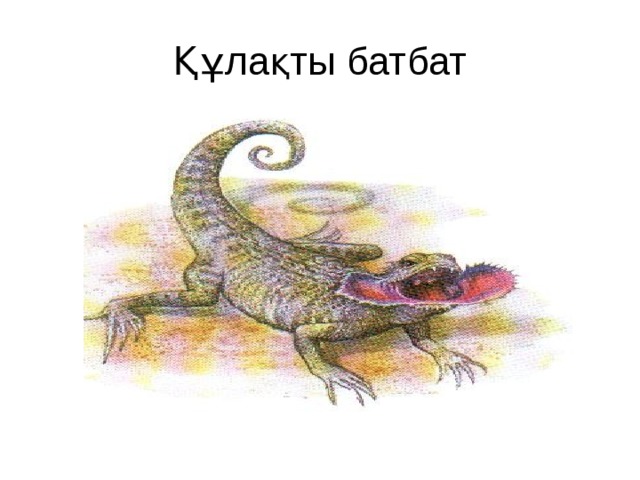 Құлақты батбат