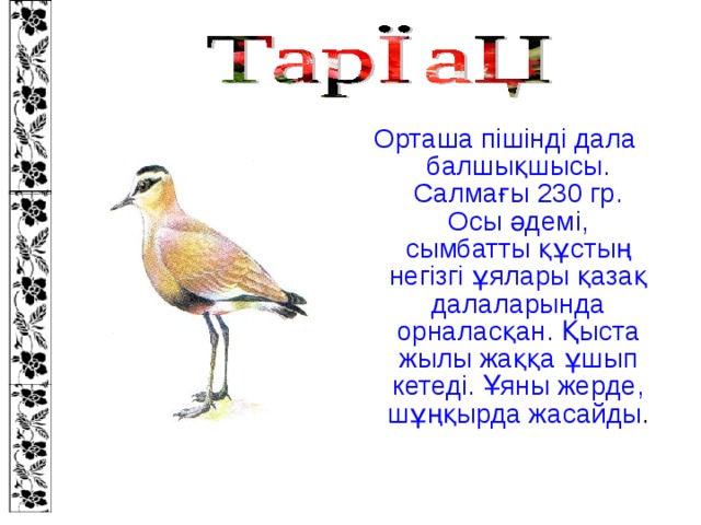 Орташа пішінді дала балшықшысы. Салмағы 230 гр. Осы әдемі, сымбатты құстың негізгі ұялары қазақ далаларында орналасқан. Қыста жылы жаққа ұшып кетеді. Ұяны жерде, шұңқырда жасайды .