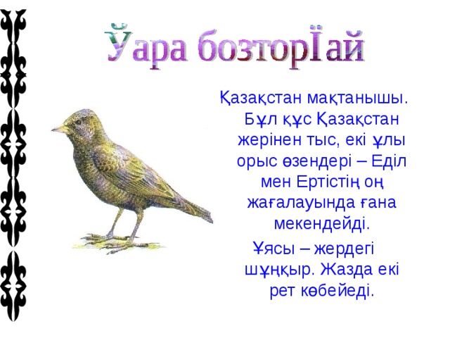 Қазақстан мақтанышы. Бұл құс Қазақстан жерінен тыс, екі ұлы орыс өзендері – Еділ мен Ертістің оң жағалауында ғана мекендейді. Ұясы – жердегі шұңқыр. Жазда екі рет көбейеді.