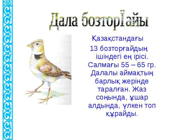 Қазақстандағы 13 бозторғайдың ішіндегі ең ірісі. Салмағы 55 – 65 гр. Далалы аймақтың барлық жерінде таралған. Жаз соңында, ұшар алдында, үлкен топ құрайды.