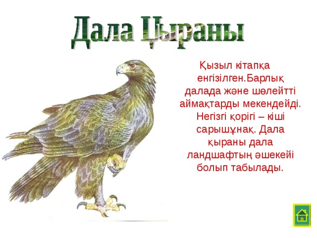 Қызыл кітапқа енгізілген.Барлық далада және шөлейтті аймақтарды мекендейді. Негізгі қорігі – кіші сарышұнақ. Дала қыраны дала ландшафтың әшекейі болып табылады.